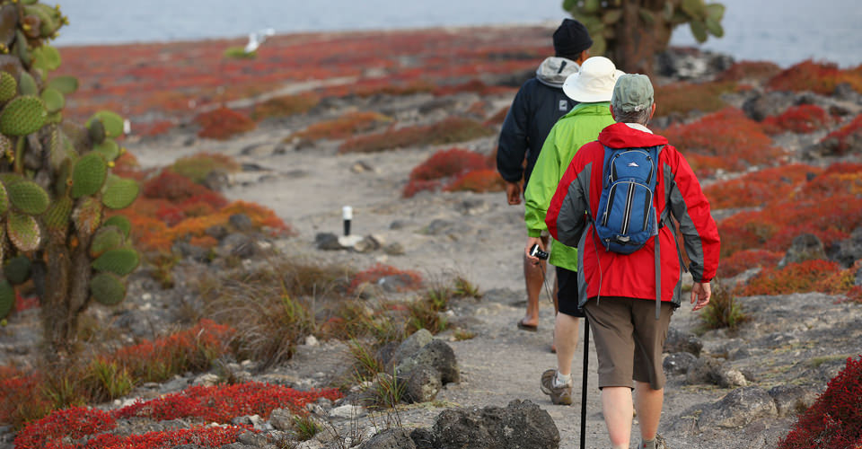 Travelers hike in South Plaza, Galapagos Islands, Ecuador