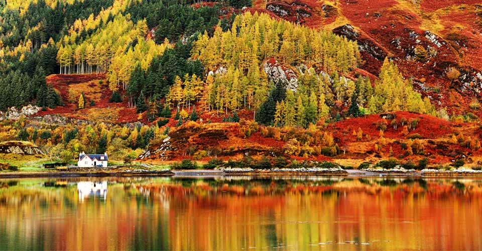 A colorful hillside leads up to a loch, Scottish Highlands