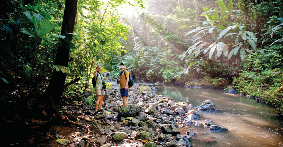 Travelers hiking in Corcovado National Park, Costa Rica