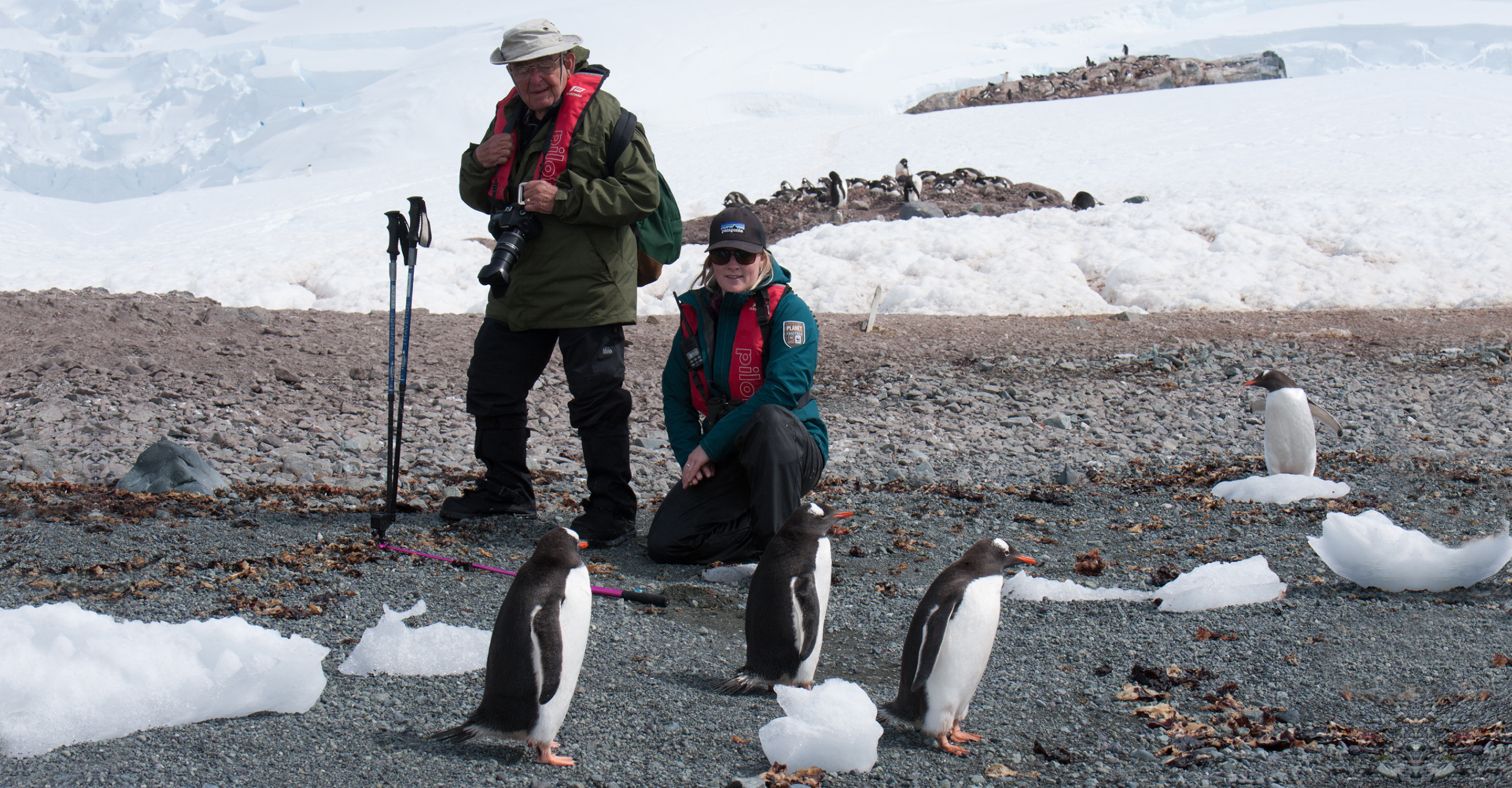 A Natural Habitat Adventures Expedition Leader and traveler stop to view gentoo penguins, Antarctica