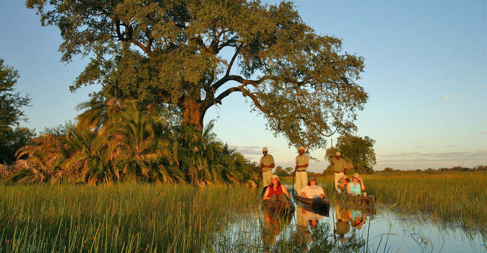 Travelers sit in three mokoros paddled by guides in the Okavango Delta, Botswana
