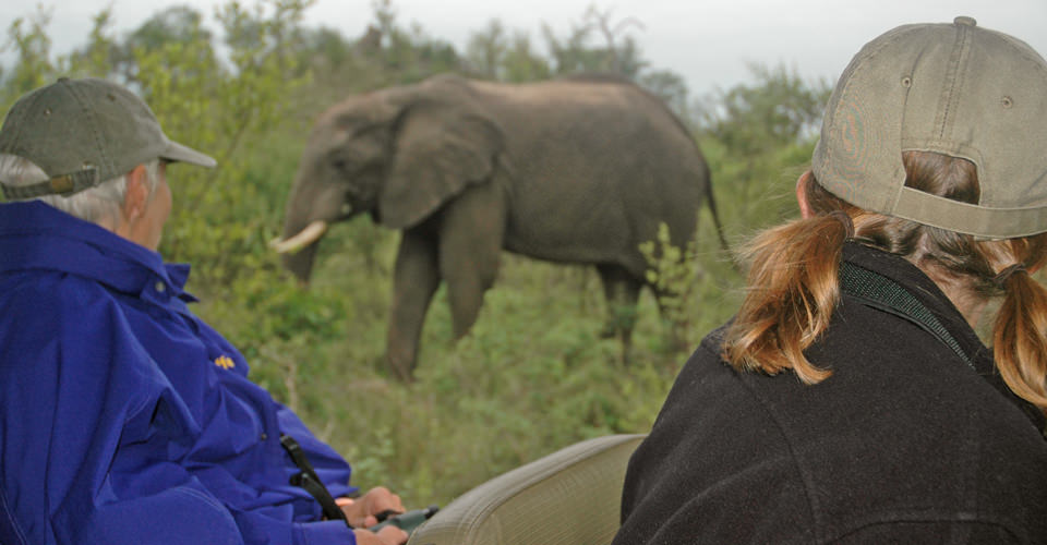 Travelers in a safari vehicle view an African elephant in MalaMala Game Reserve, South Africa