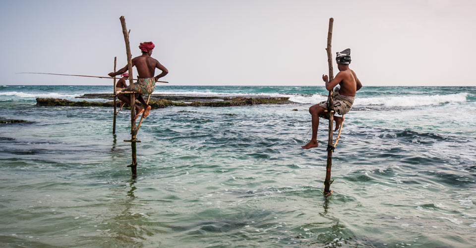 Fishermen sit on their perches in the water, Ahangama, Sri Lanka