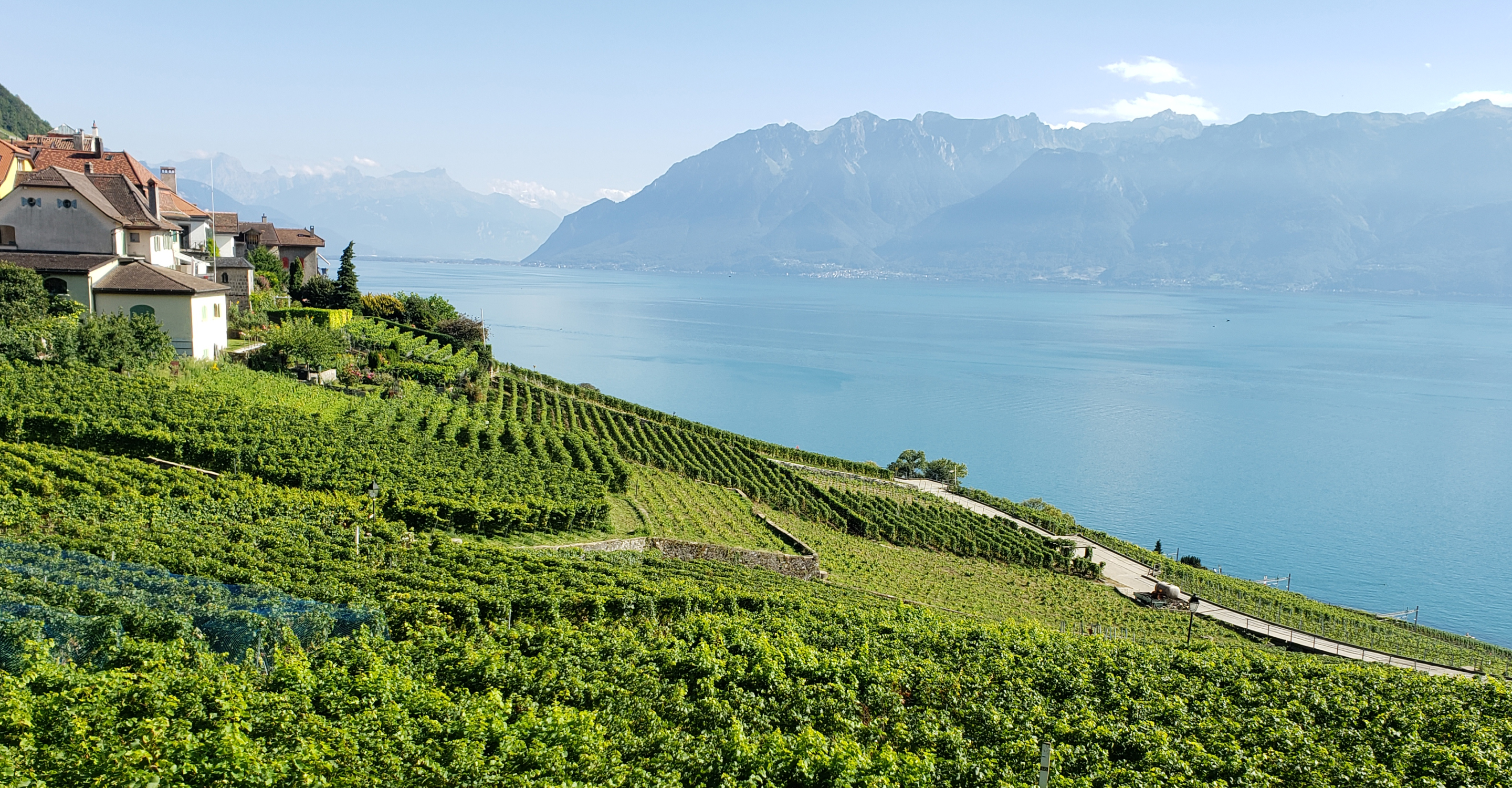 A view of the Lavaux Vineyard Terraces, World Heritage Vineyards, in Montreux, Switzerland