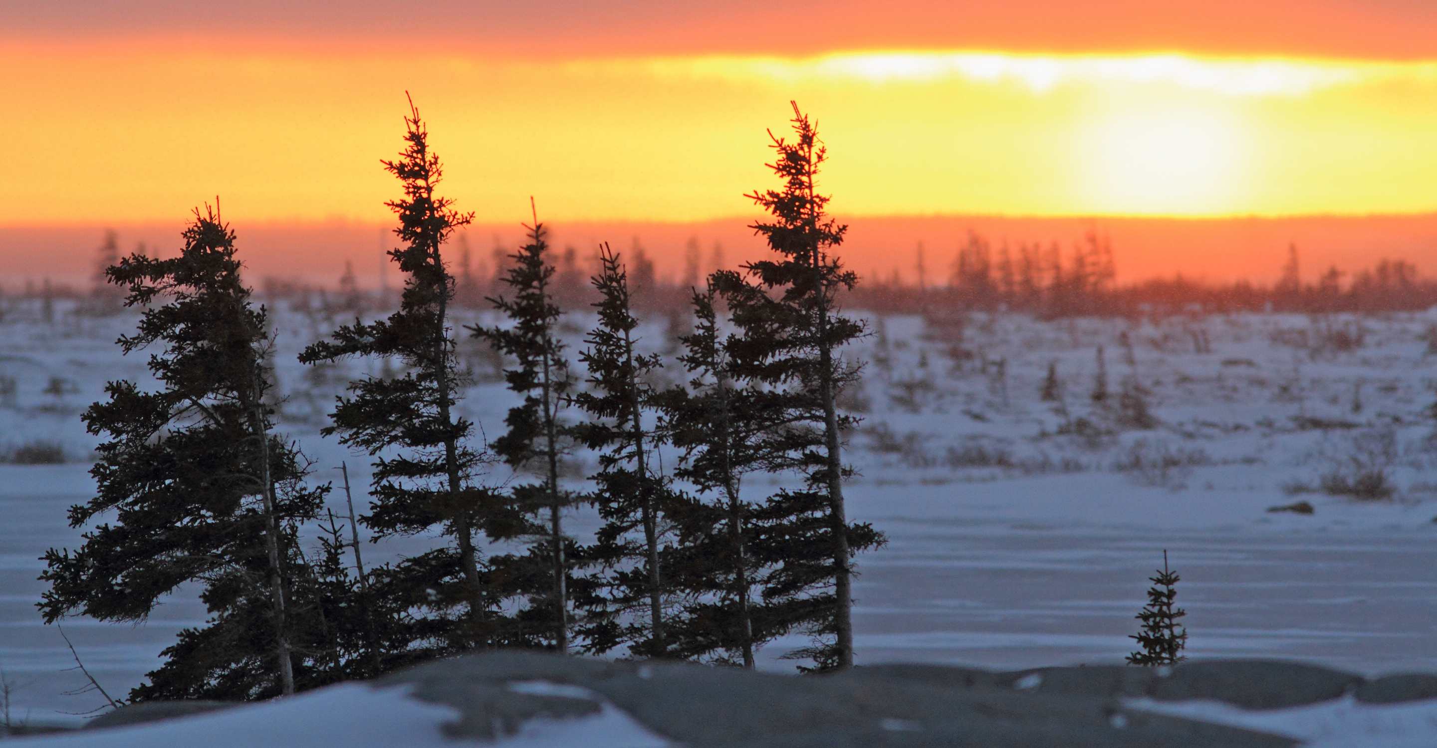 Sunset over the tundra, Churchill, Manitoba, Canada
