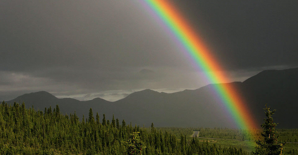 A rainbow in the valley of Denali National Park, Alaska, USA