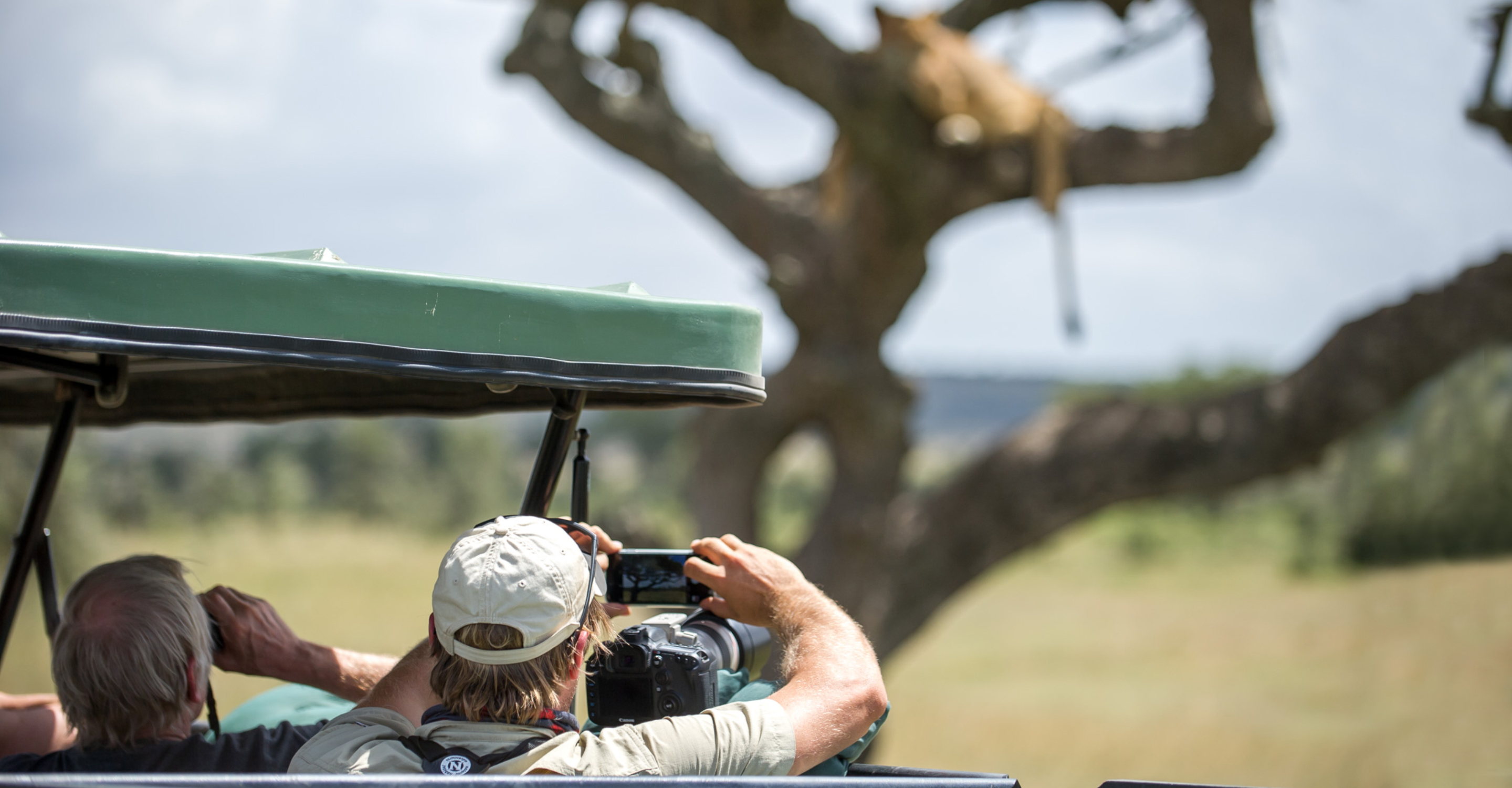 Natural Habitat Adventures travelers in a safari truck photograph lions resting in a tree in Tanzania