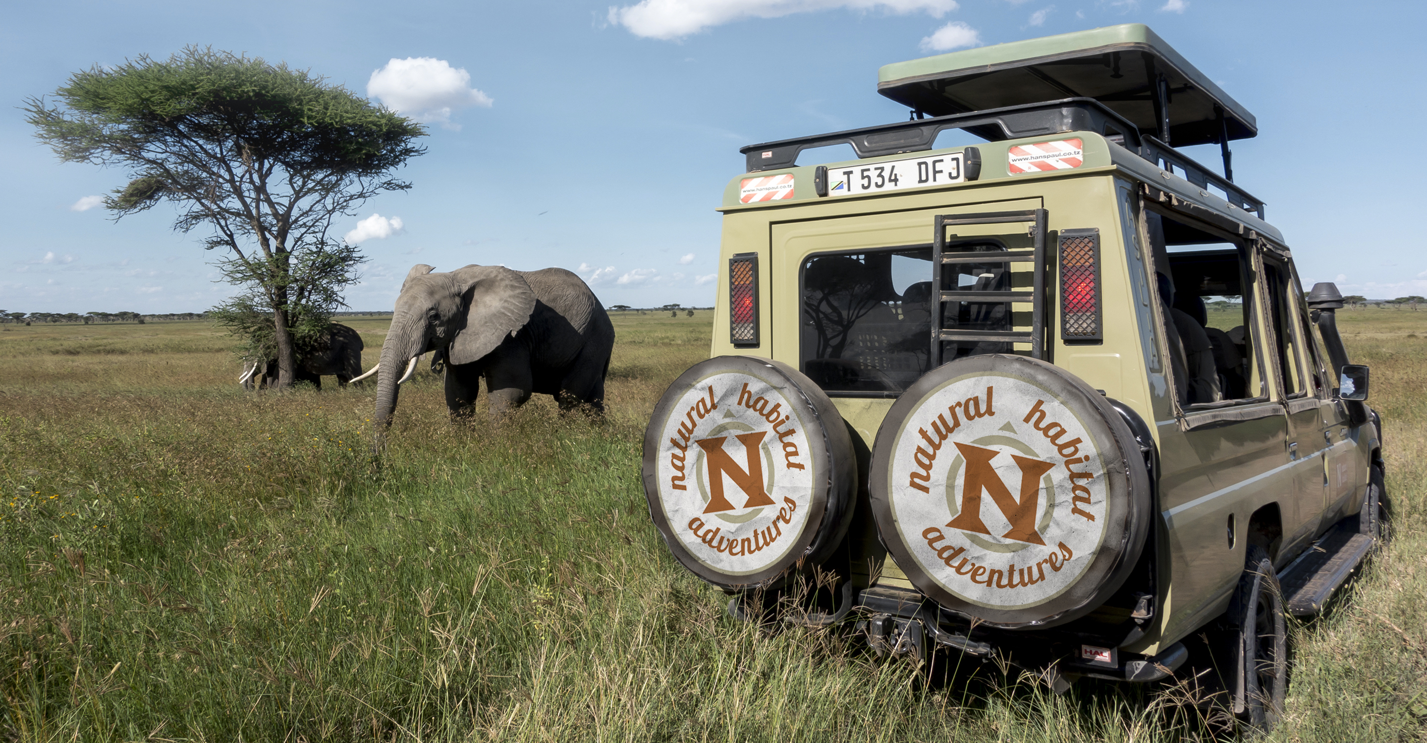 A Natural Habitat Adventures safari truck parks near elephants in the Maasai Mara National Reserve, Kenya