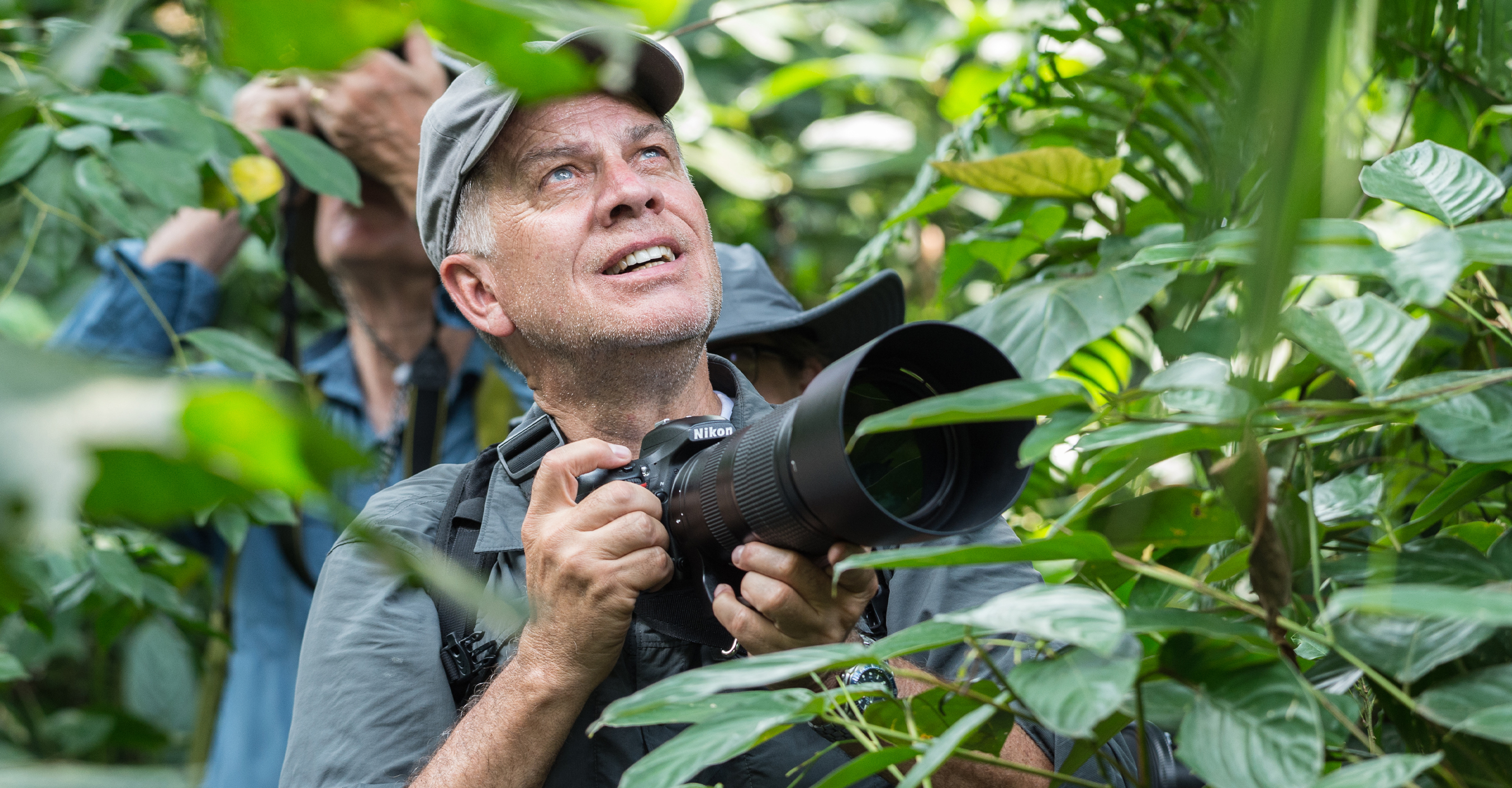 A photographer looks up into the trees in Volcanoes National Park, Rwanda