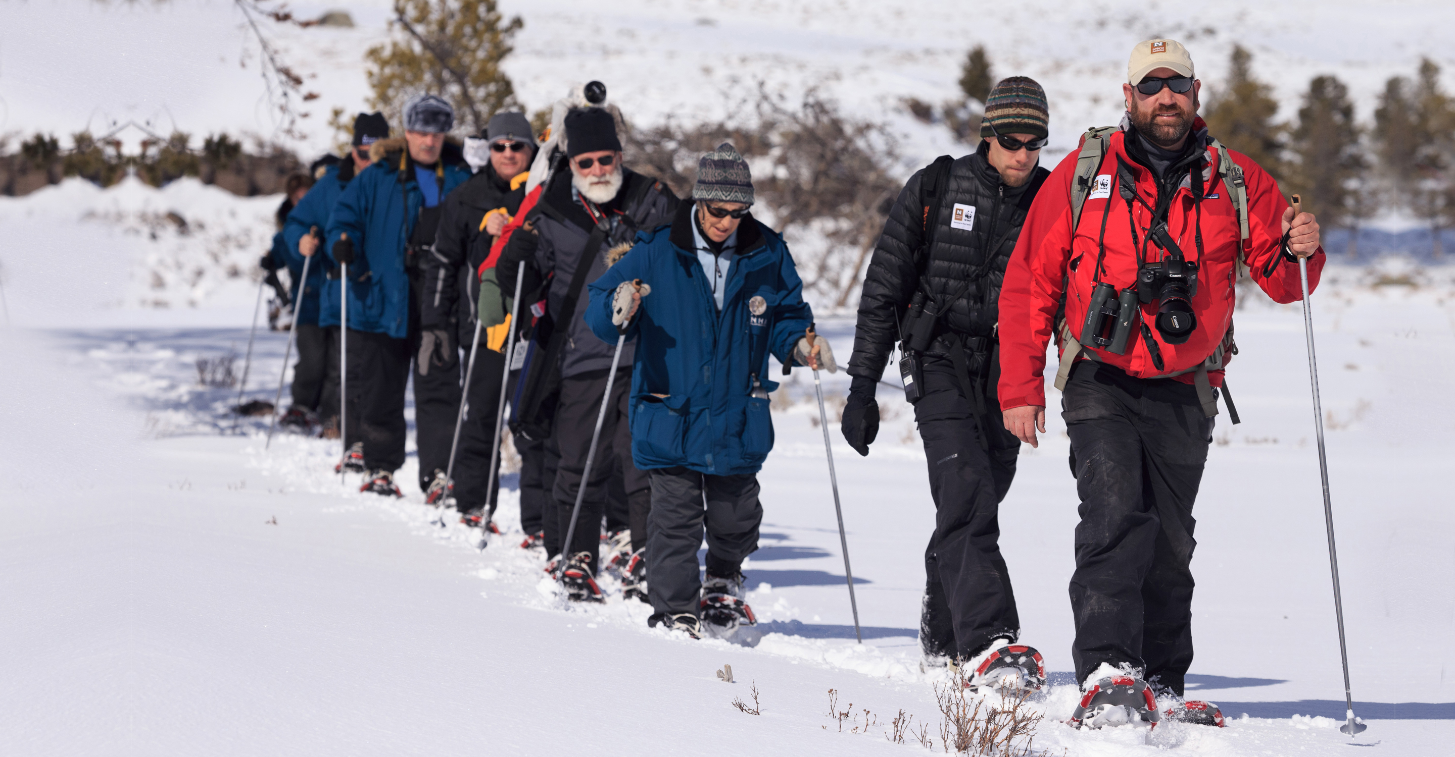 Guides lead Natural Habitat Adventures travelers in a snowshoeing activity in Yellowstone National Park, United States