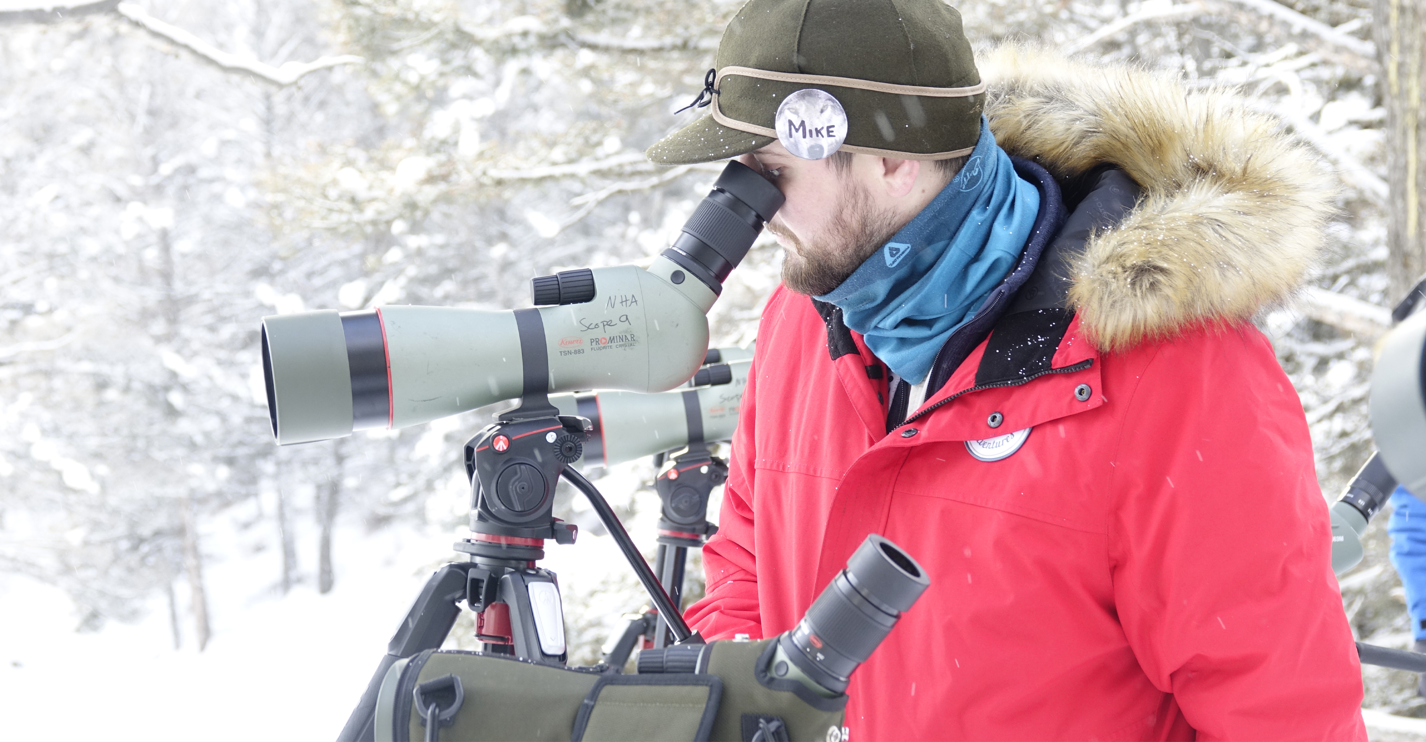 Traveler in Yellowstone National Park views wildlife through a scope, United States