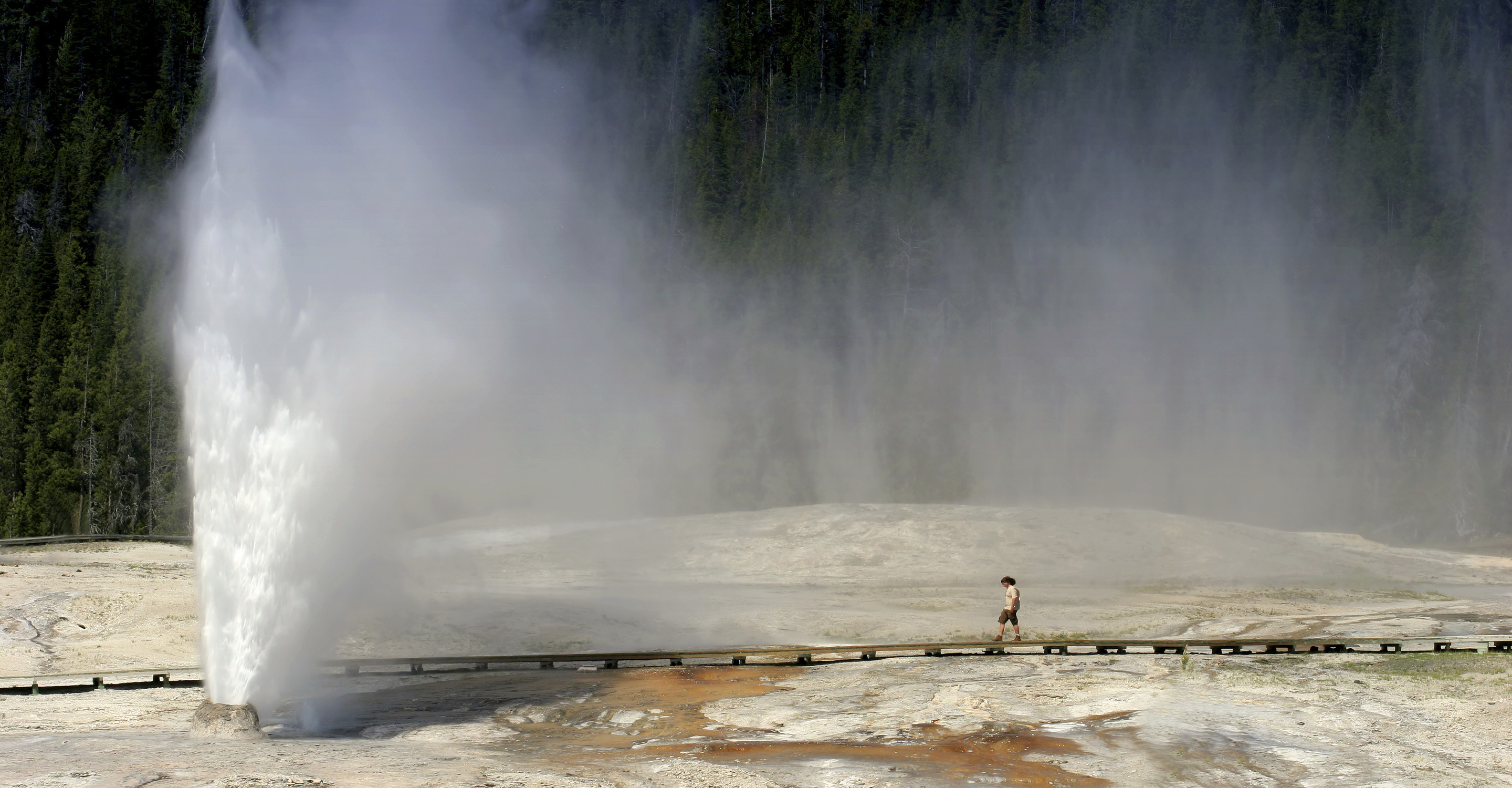 Person walks on a boardwalk near a geyser in Yellowstone National Park