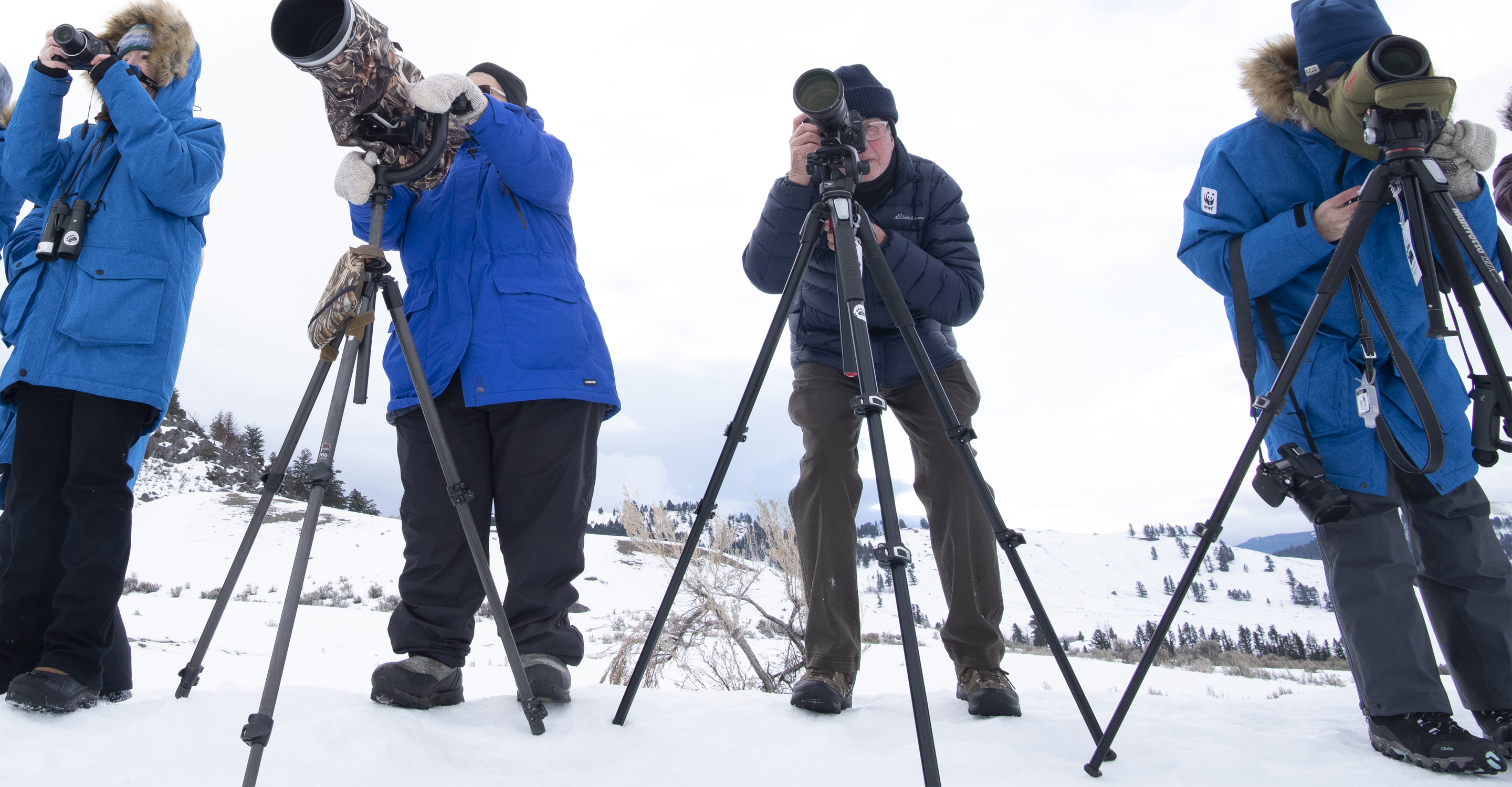 Natural Habitat Adventures travelers view wildlife through a scope in Yellowstone National Park, United States