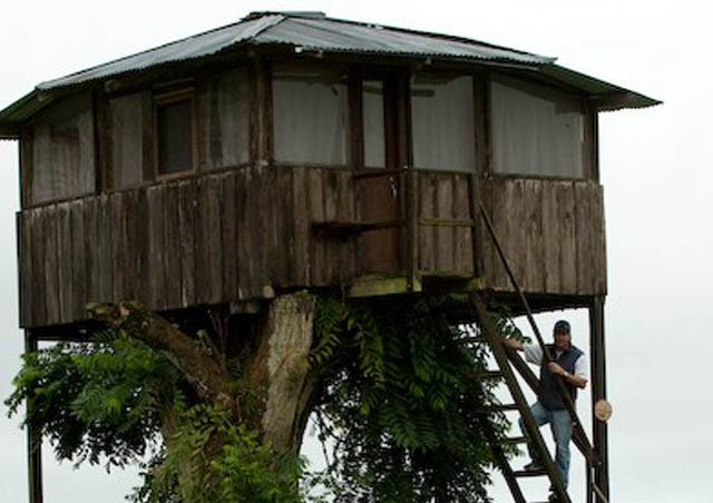 Guess where this is? Believe it or not, I’m in the highlands of Santa Cruz in the Galapagos. I stayed in the night in this cozy tree-house, one of the highlights of my Galapagos small ship cruise.